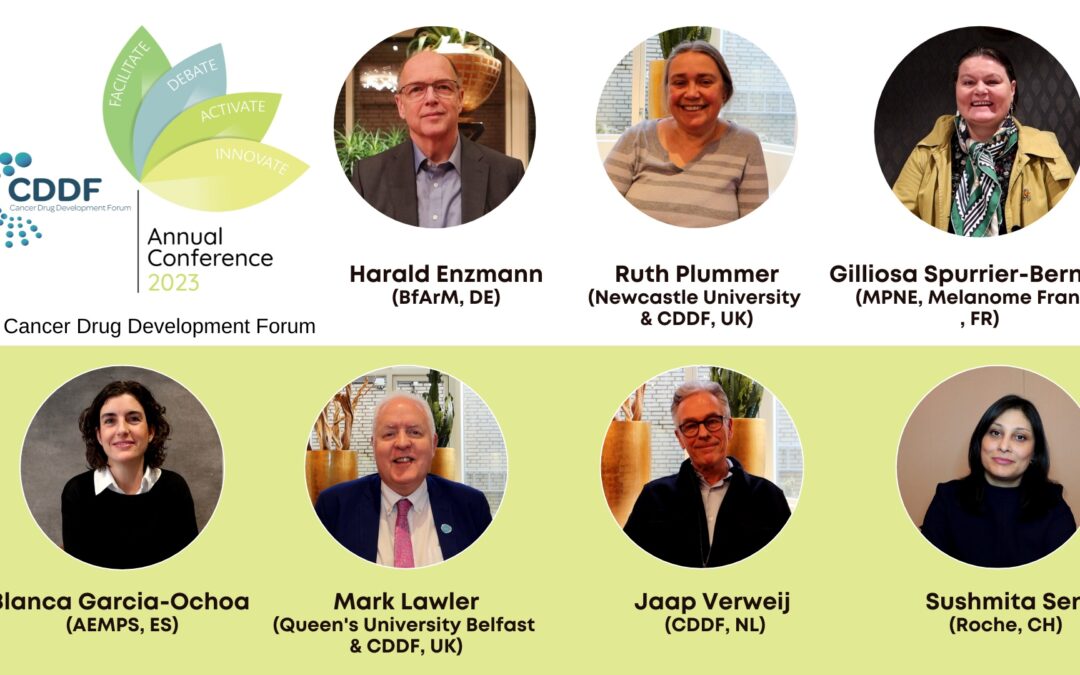 Interviews with the CDDF’s Key Stakeholders