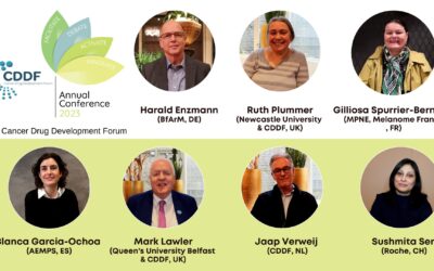 Interviews with the CDDF’s Key Stakeholders