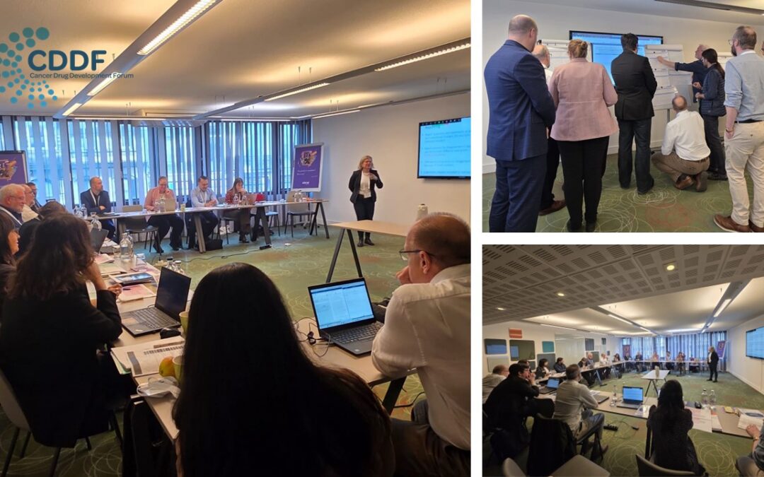 CDDF Diversity Initiative: In-Person Meeting in Brussels Today