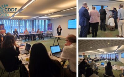 CDDF Diversity Initiative: In-Person Meeting in Brussels Today